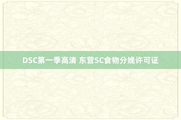 DSC第一季高清 东营SC食物分娩许可证