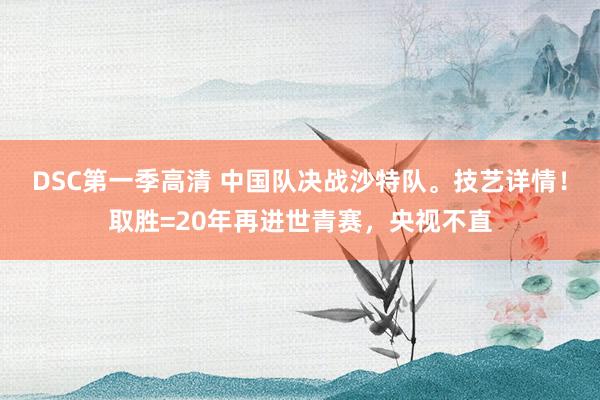 DSC第一季高清 中国队决战沙特队。技艺详情！取胜=20年再进世青赛，央视不直
