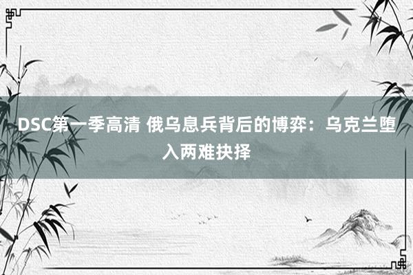 DSC第一季高清 俄乌息兵背后的博弈：乌克兰堕入两难抉择