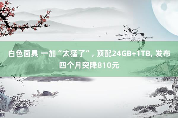 白色面具 一加“太猛了”, 顶配24GB+1TB, 发布四个月突降810元
