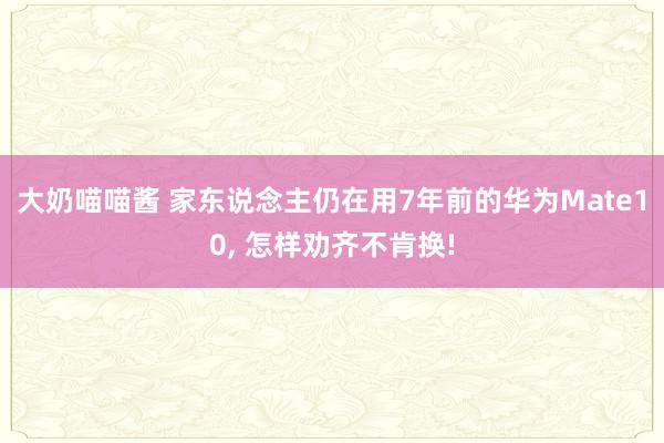 大奶喵喵酱 家东说念主仍在用7年前的华为Mate10, 怎样劝齐不肯换!